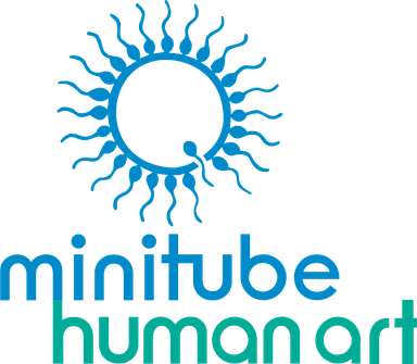 The Minitube Human ART logo, featuring a blue sun-shaped icon made of stylized sperm cells above the brand name.